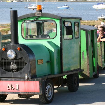 Land Train